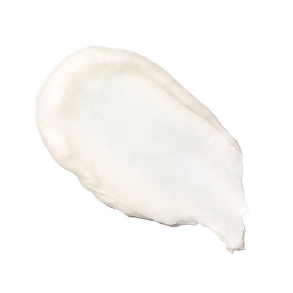 Augustinus Bader The Conditioner - Image 3